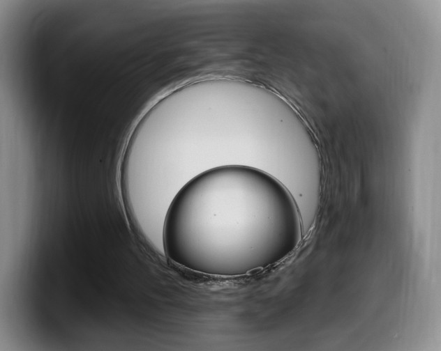 X0000099970100200805231010