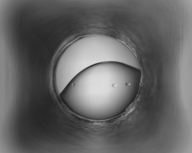 X0000099970101200805231010