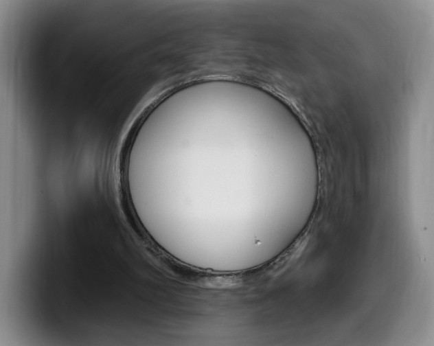 X0000099970102200805231010