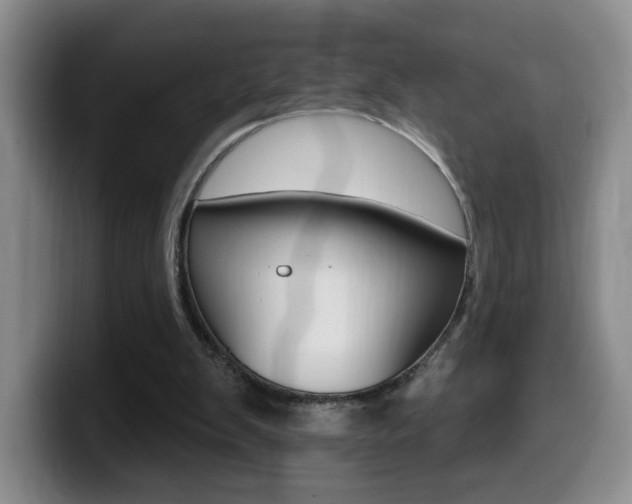 X0000099970103200805231010