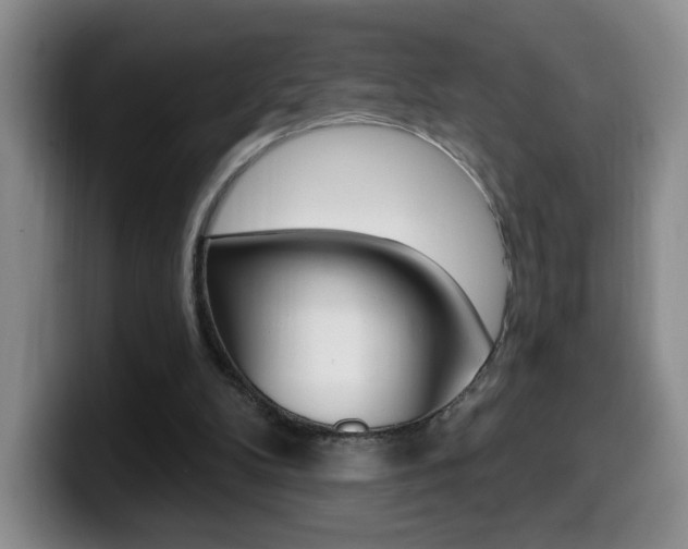 X0000099970104200805231010