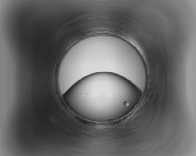 X0000099970105200805231010