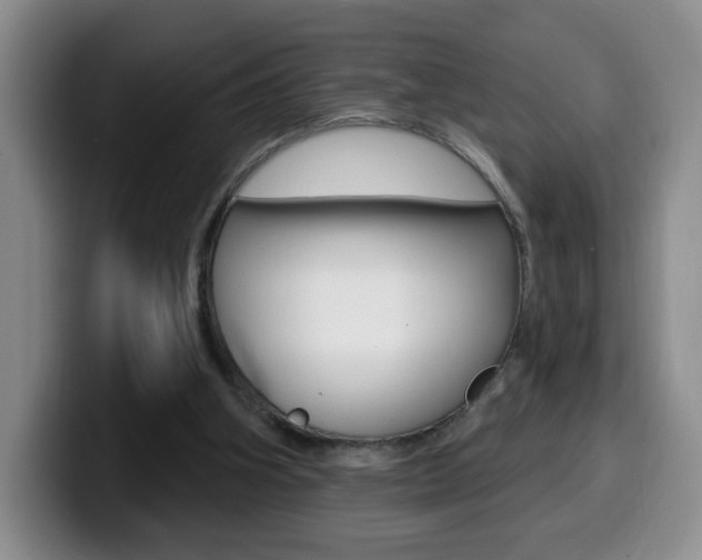 X0000099970106200805231010