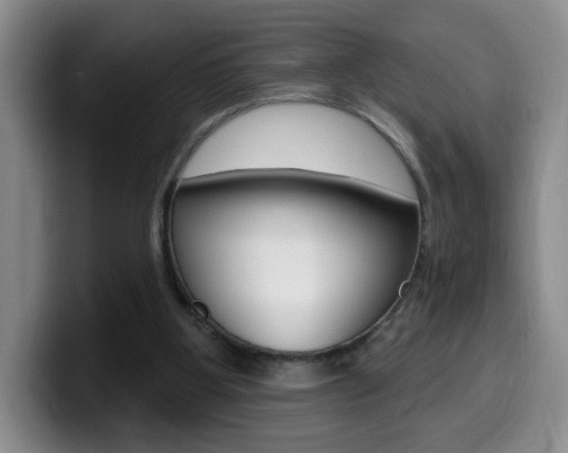 X0000099970107200805231010