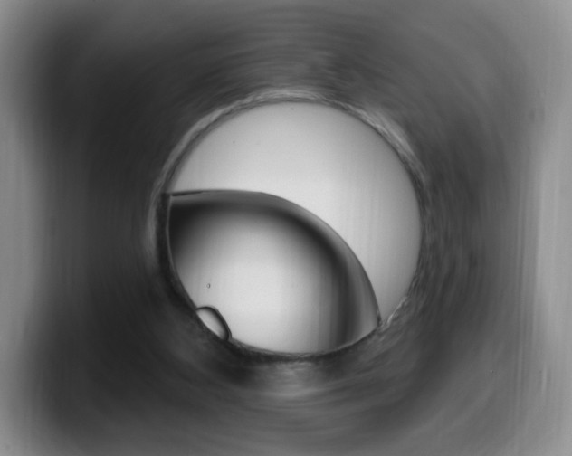 X0000099970108200805231010
