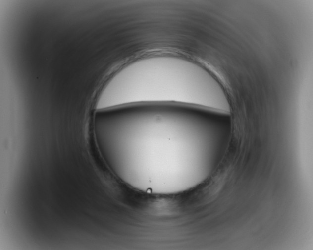 X0000099970111200805231010