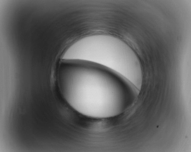 X0000099970116200805231010