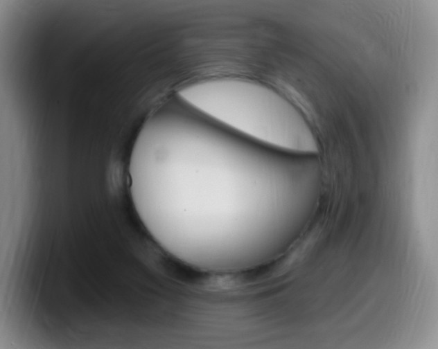X0000099970117200805231010
