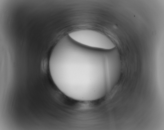 X0000099970118200805231010