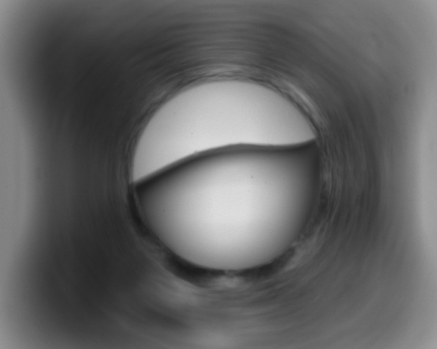 X0000099970119200805231010