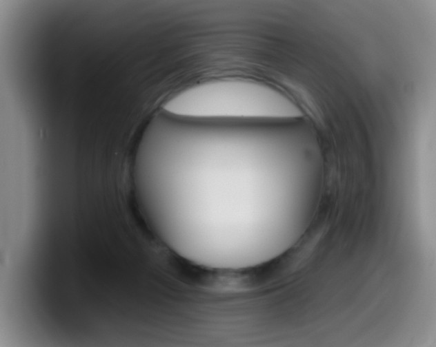 X0000099970121200805231010