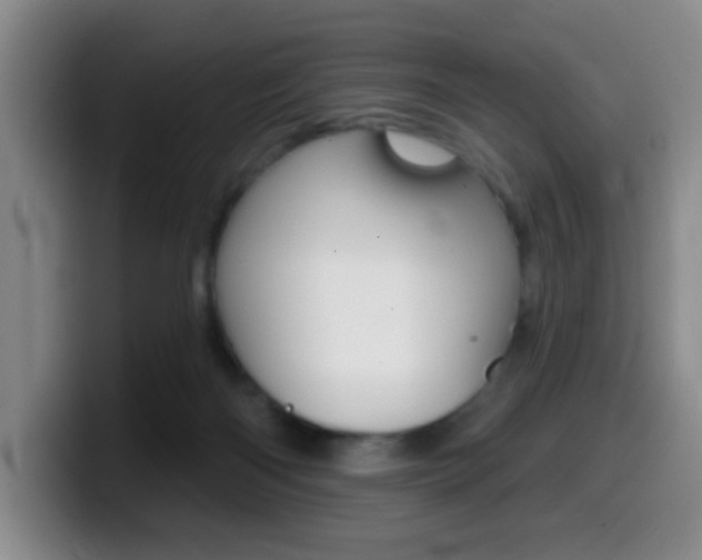 X0000099970122200805231010
