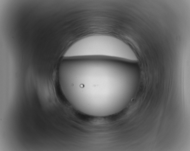 X0000099970123200805231010