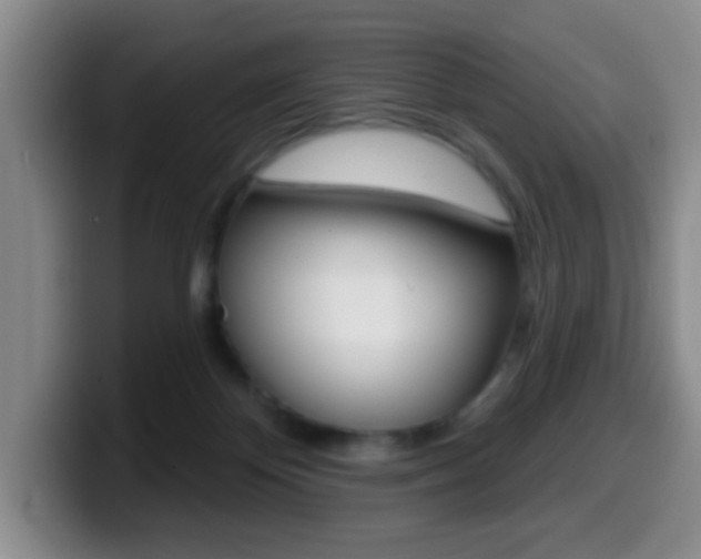 X0000099970124200805231010