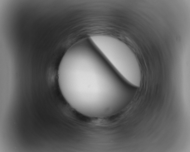 X0000099970125200805231010
