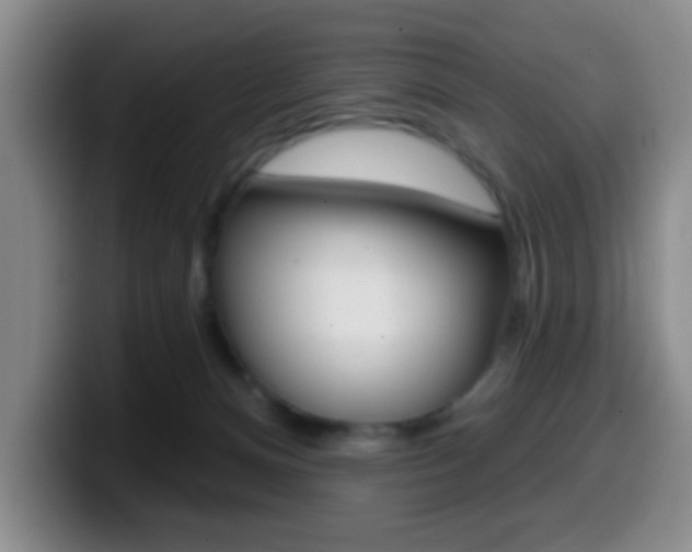 X0000099970128200805231010
