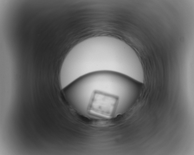 X0000099970129200805231010