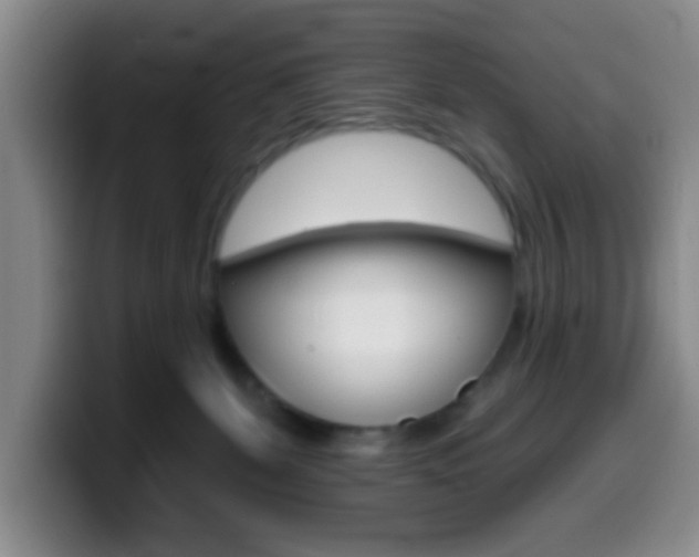 X0000099970131200805231010