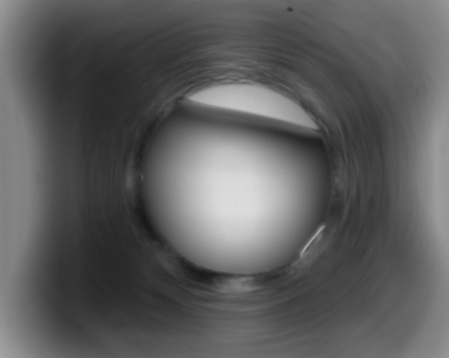 X0000099970132200805231010