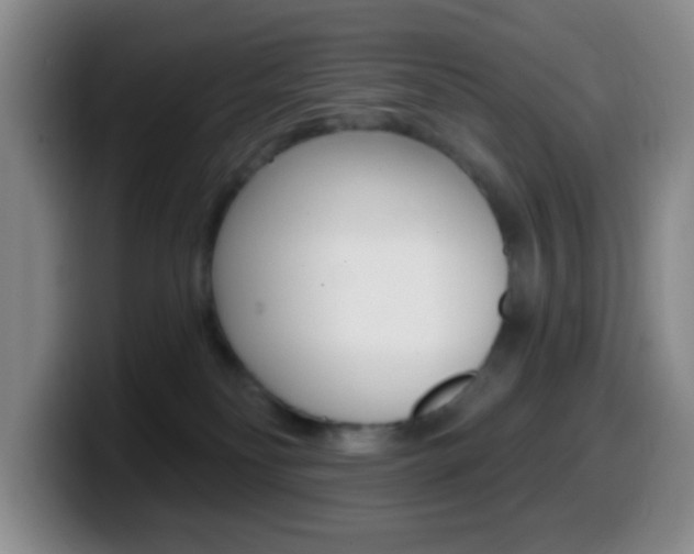 X0000099970134200805231010