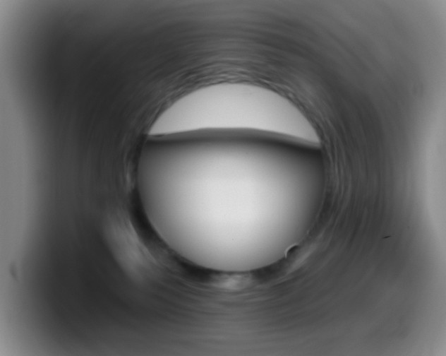X0000099970135200805231010