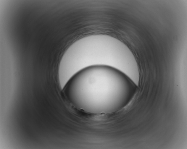 X0000099970136200805231010