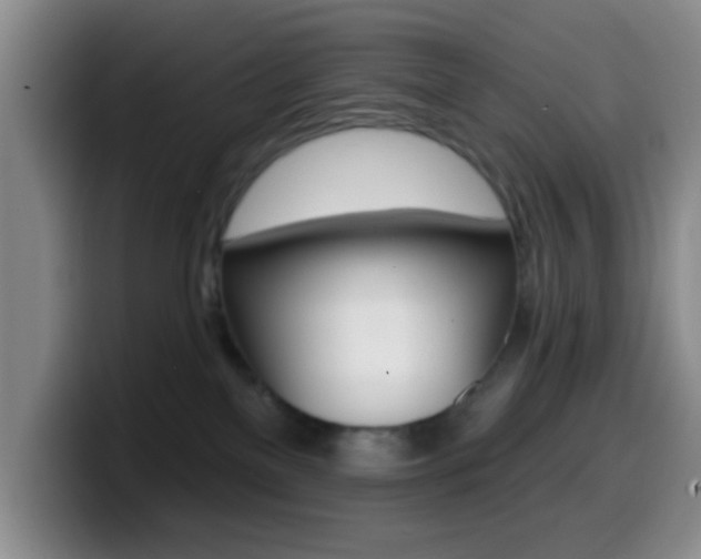X0000099970137200805231010