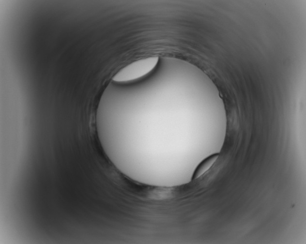 X0000099970138200805231010