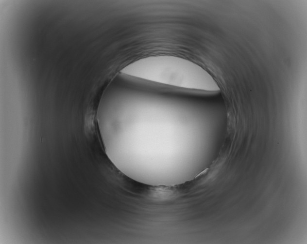 X0000099970141200805231010