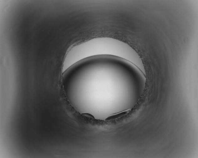 X0000099970144200805231010
