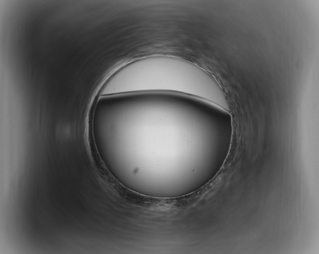 X0000099970148200805231009
