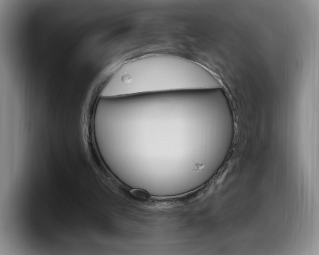 X0000099970149200805231009
