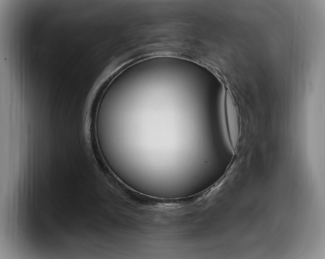 X0000099970150200805231009