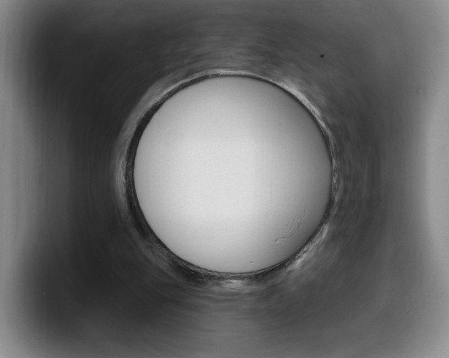 X0000099970151200805231009