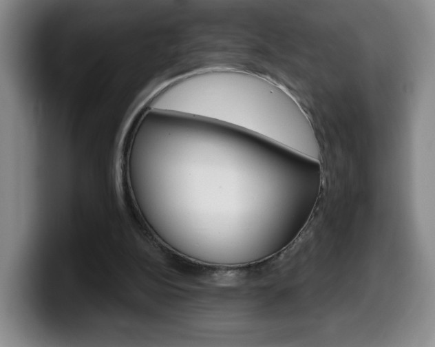 X0000099970152200805231009
