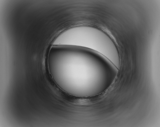 X0000099970154200805231009