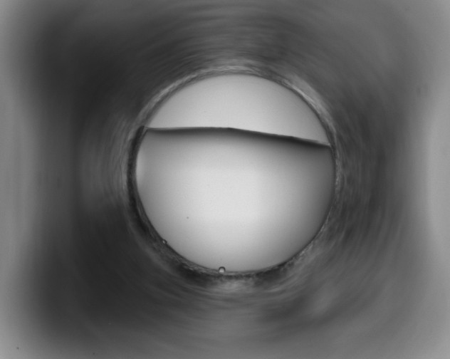 X0000099970155200805231009