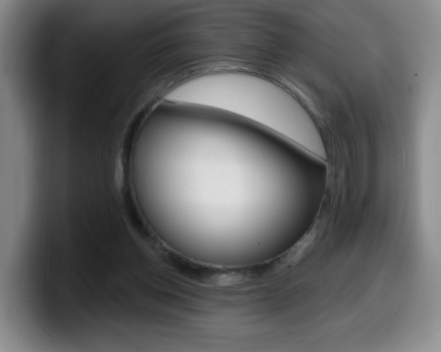 X0000099970158200805231009