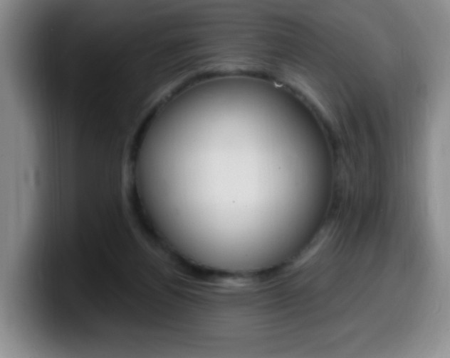 X0000099970164200805231009