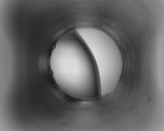 X0000099970168200805231009