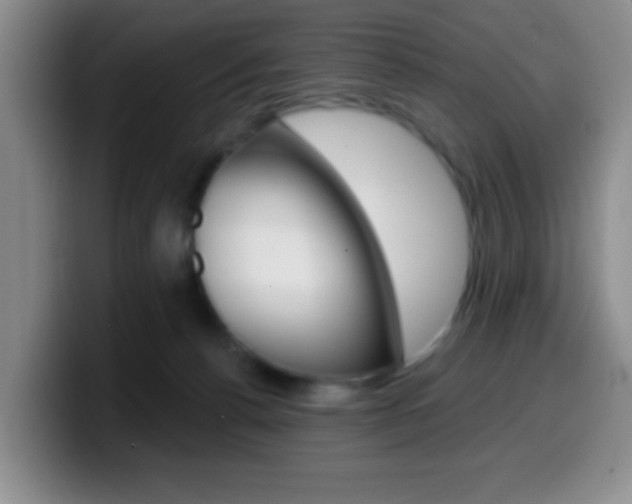 X0000099970176200805231009