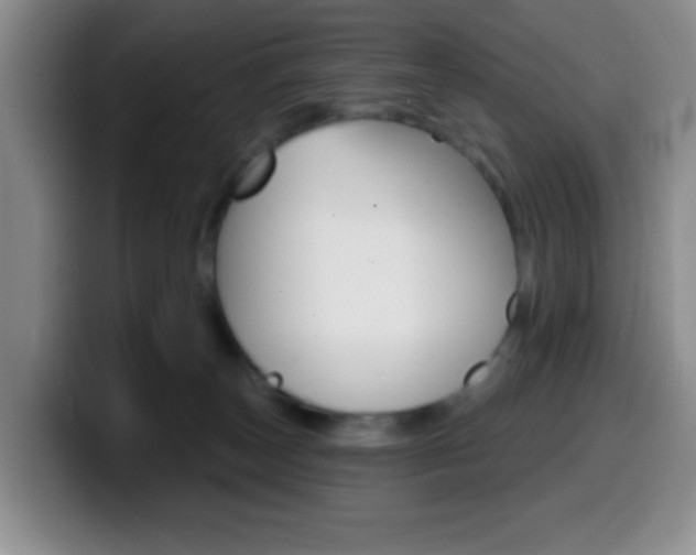 X0000099970179200805231009