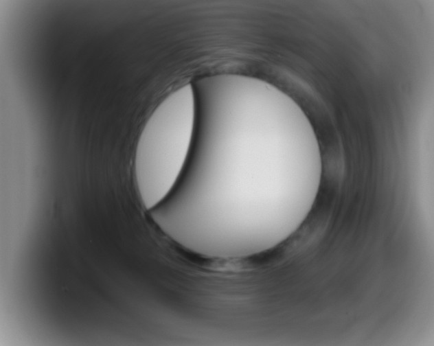X0000099970181200805231009