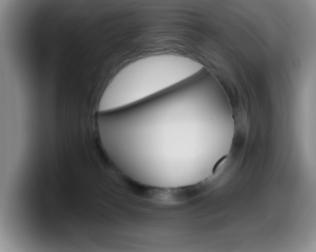 X0000099970182200805231009