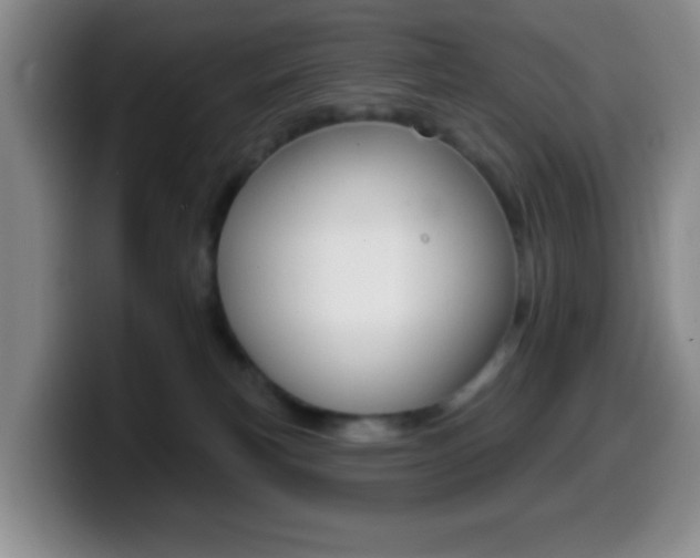 X0000099970183200805231009