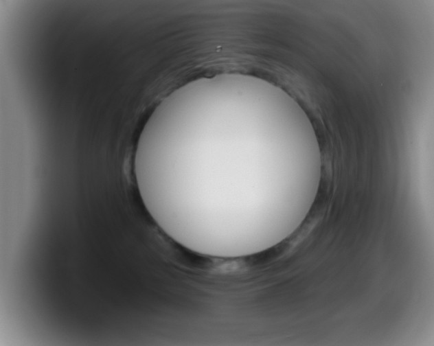 X0000099970185200805231009