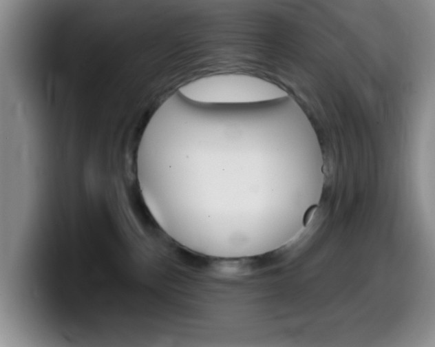 X0000099970187200805231009