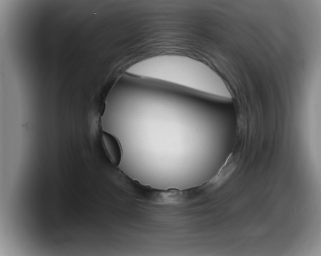 X0000099970188200805231009