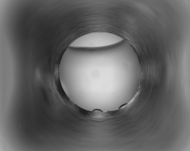 X0000099970191200805231009