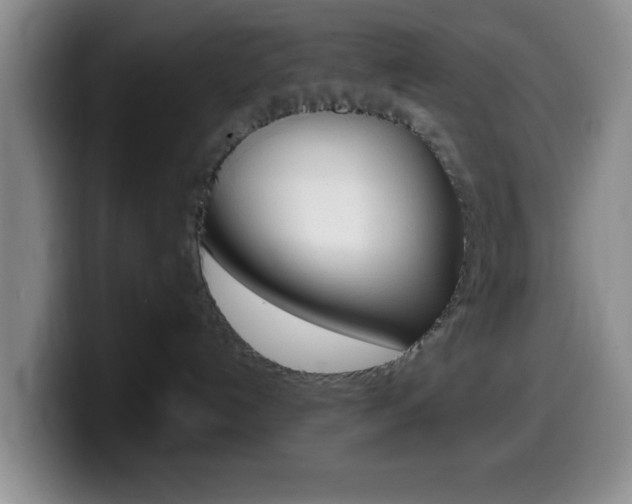 X0000099970192200805231010